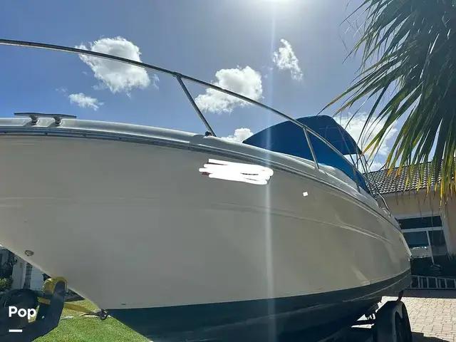 Sea Ray Sundancer 270