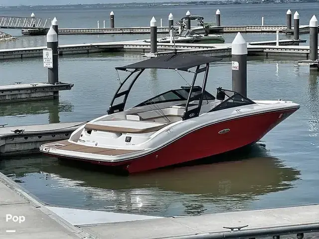 Sea Ray Spx190