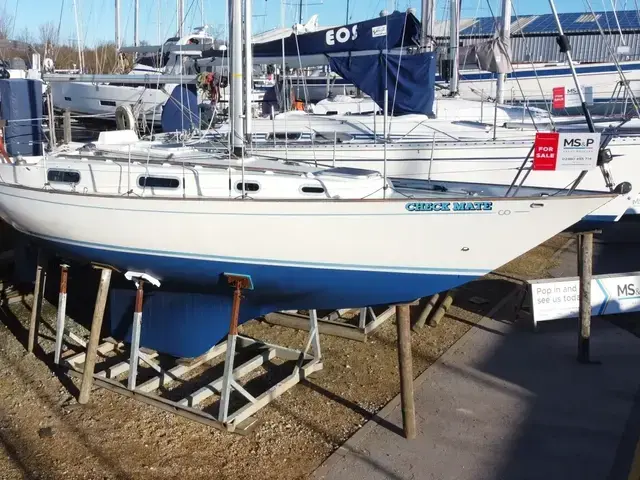 Contessa 32