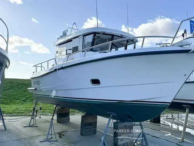 Sargo 31