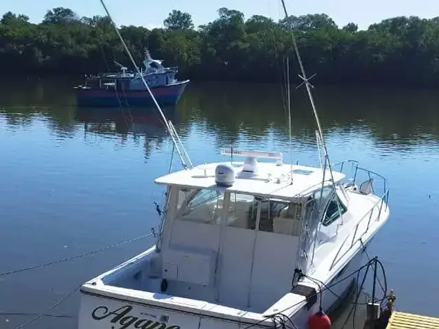 Tiara 38'