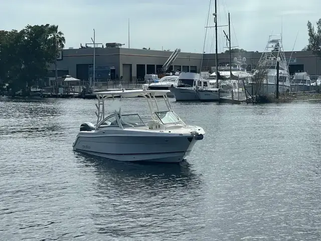 Robalo 247 Dual Console