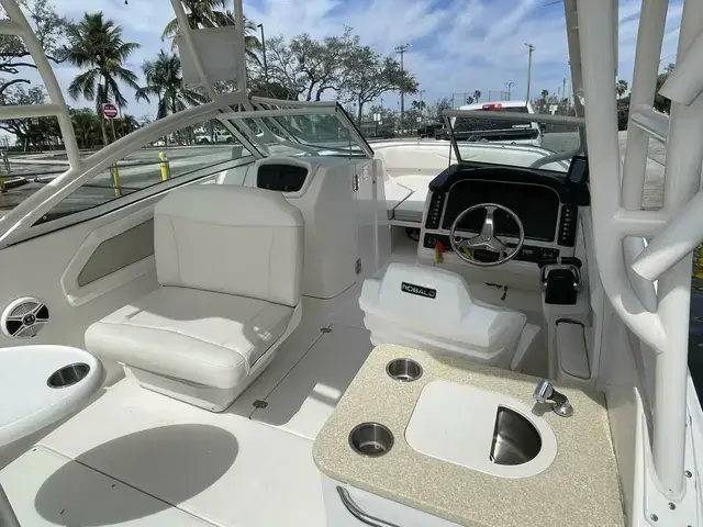 Robalo 247 Dual Console