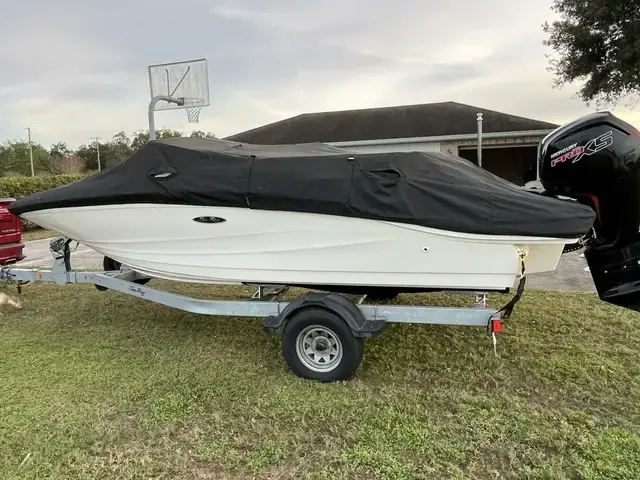 Sea Ray 19 Spx