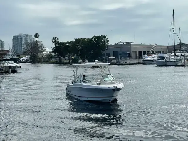 Robalo 247 Dual Console