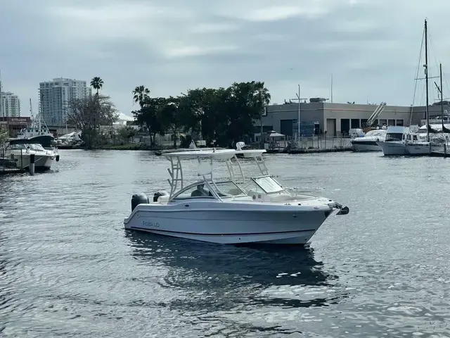 Robalo 247 Dual Console