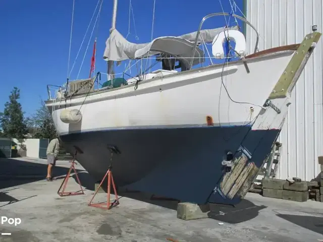 Herreshoff 37