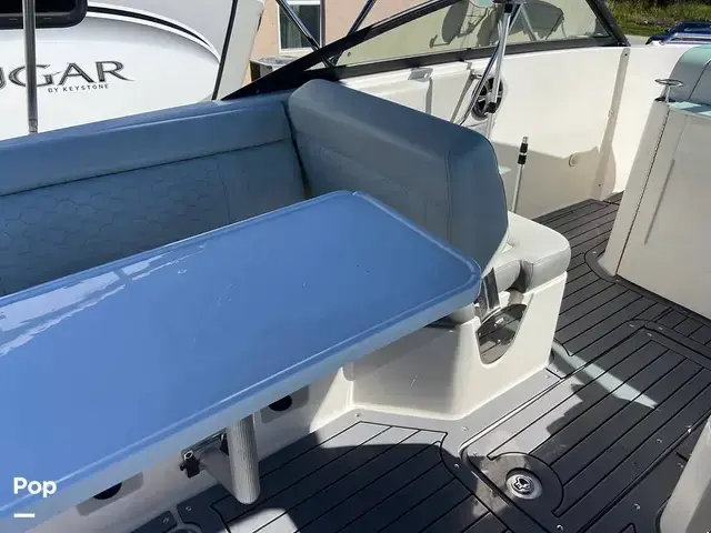 Sea Ray 250 Sdx