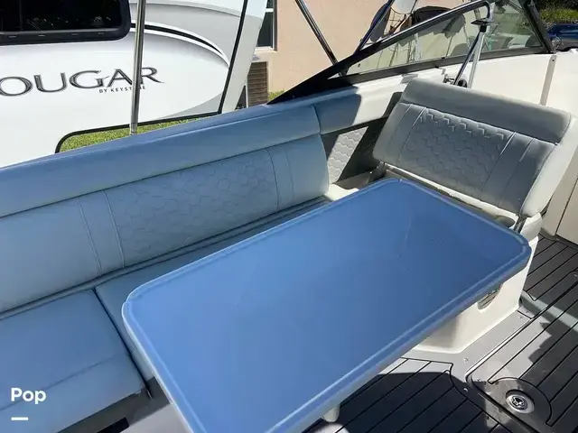 Sea Ray 250 Sdx