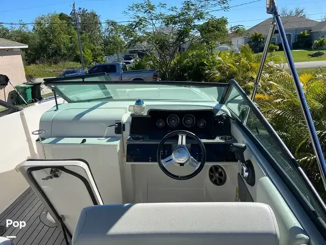 Sea Ray 250 Sdx