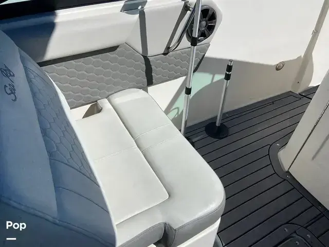 Sea Ray 250 Sdx