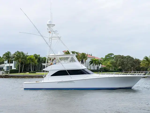 Viking 61'