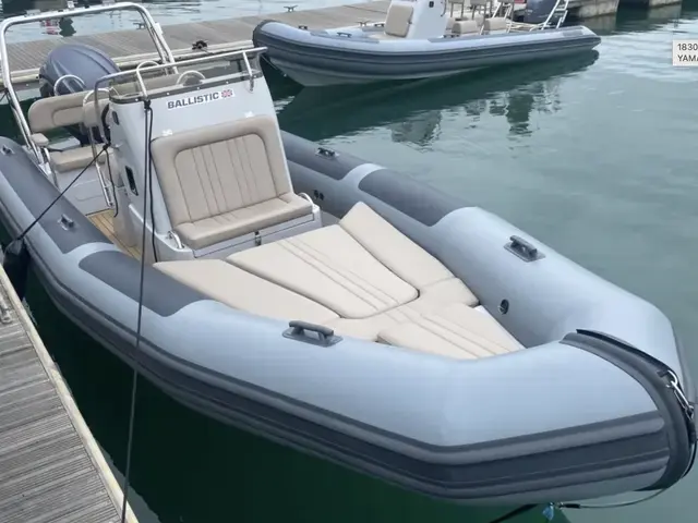 Ballistic Rib LS68