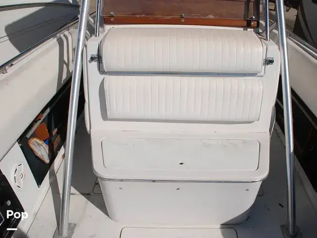 Chris Craft 311 Stinger