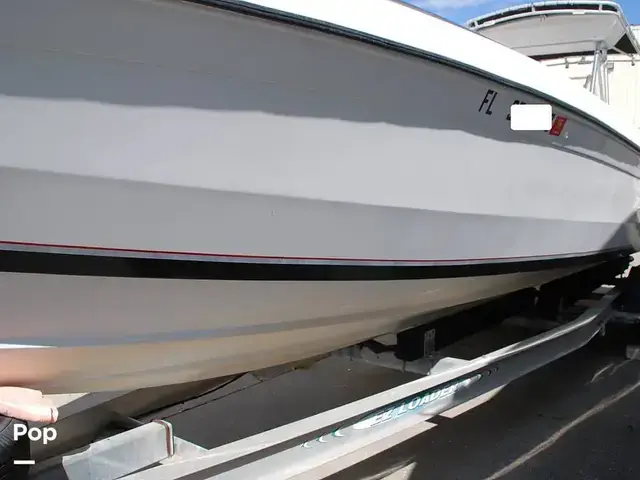 Chris Craft 311 Stinger