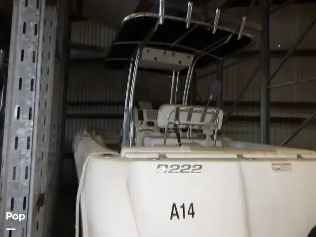 Robalo 222 Cc