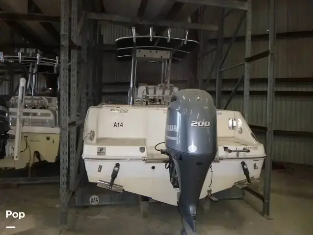 Robalo 222 Cc