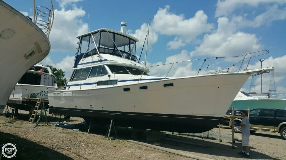 Bayliner 3818