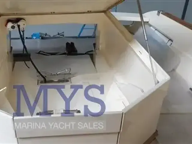 Mochi Craft Dolphin 51