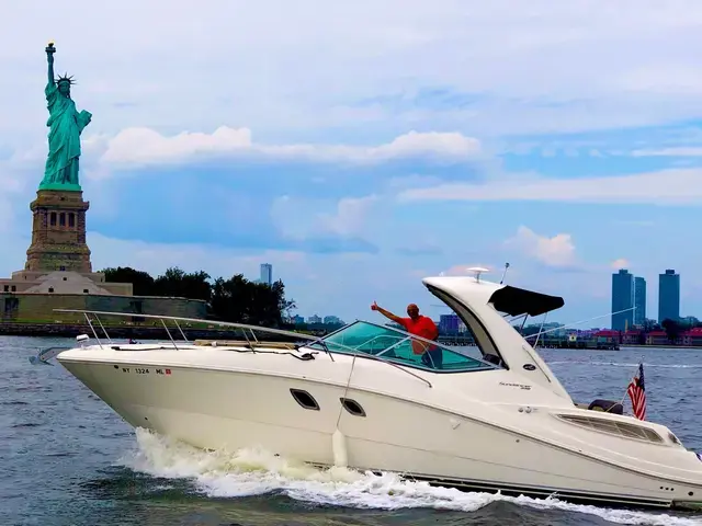 Sea Ray 33