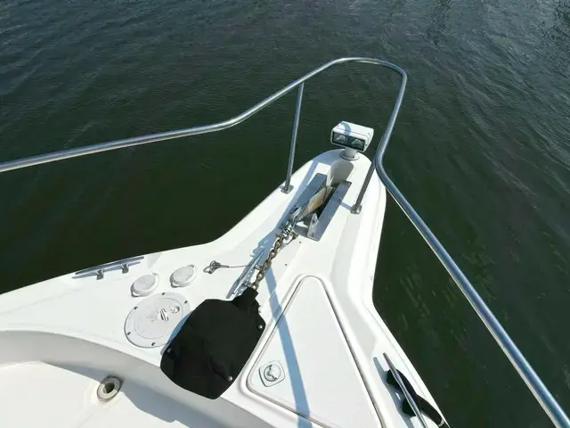 Sea Ray 460 Sundancer