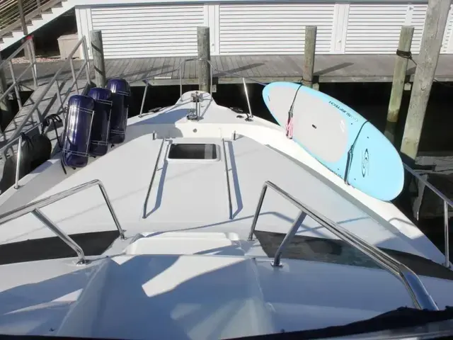 Sea Ray 450 Express Bridge