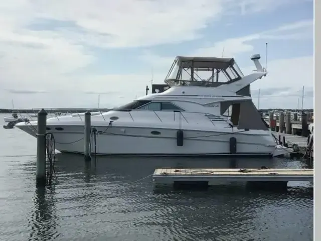 Sea Ray 400 Sedan Bridge