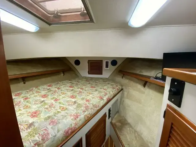 Tollycraft Aft Cabin