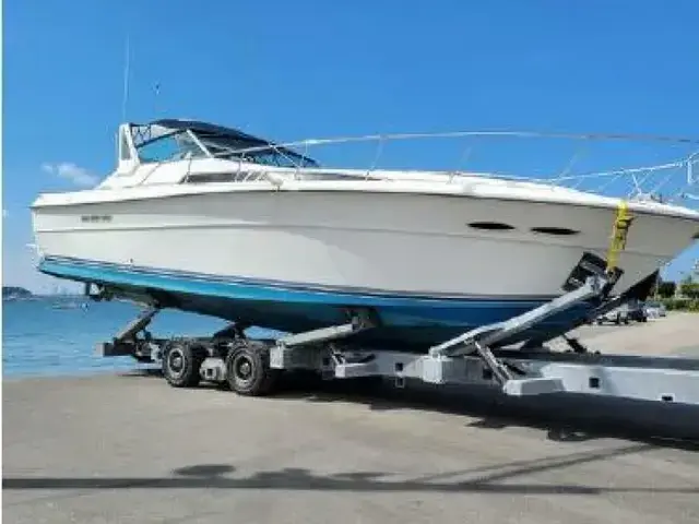 Sea Ray 39