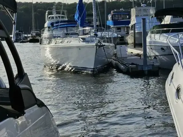 Catalina 42