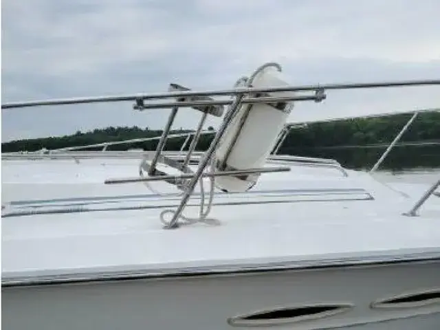 Sea Ray 39