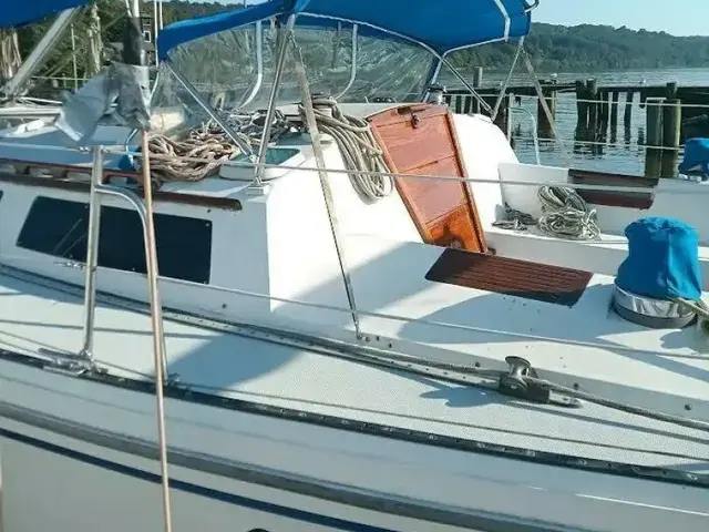 Catalina 42