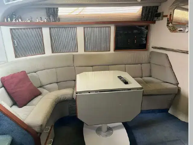 Sea Ray 39