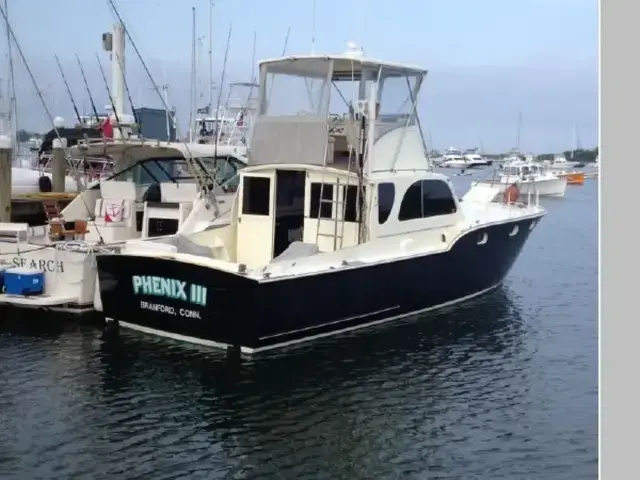 Chris Craft Sea Skiff-Flybridge