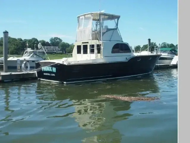 Chris Craft Sea Skiff-Flybridge