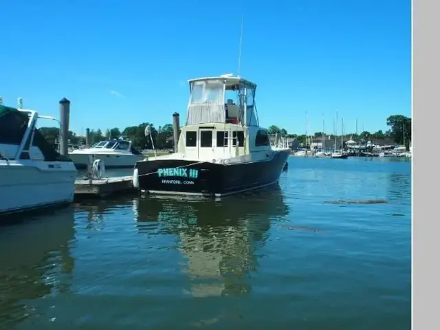 Chris Craft Sea Skiff-Flybridge