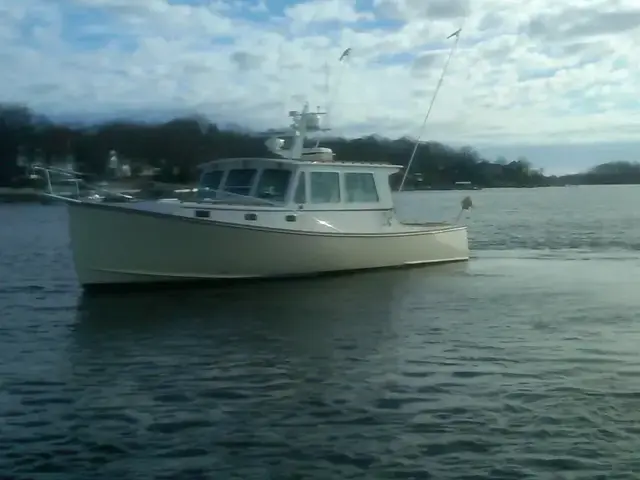 Northern Bay 38