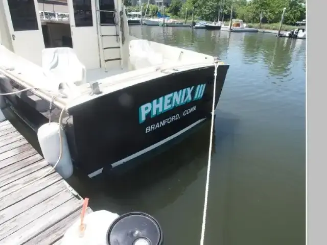 Chris Craft Sea Skiff-Flybridge