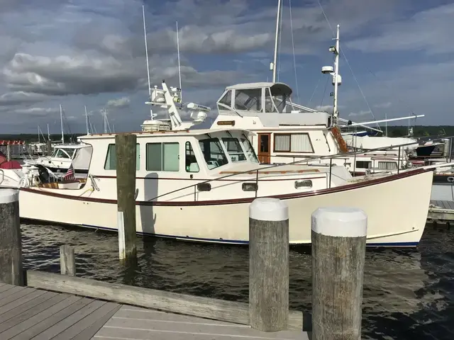 Northern Bay 38