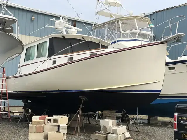 Northern Bay 38