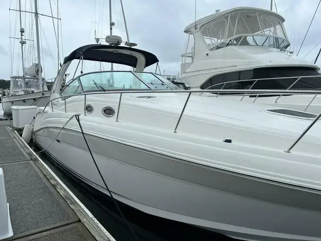 Sea Ray 340