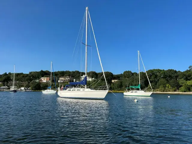 Catalina 36 Mkii