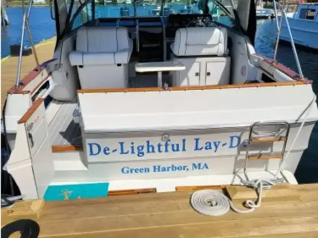 Sea Ray 340 Express Cruiser