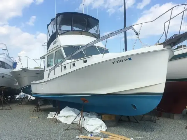 Nauset 35