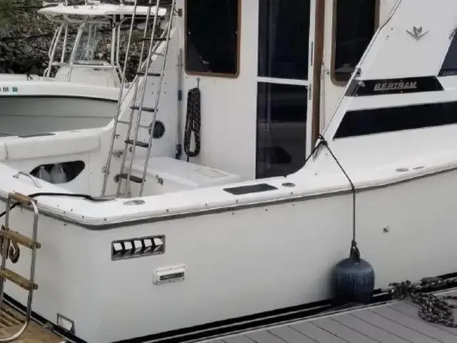 Bertram 33 Flybridge Cruiser