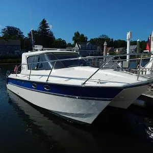 2014 Arrowcat 320 Express