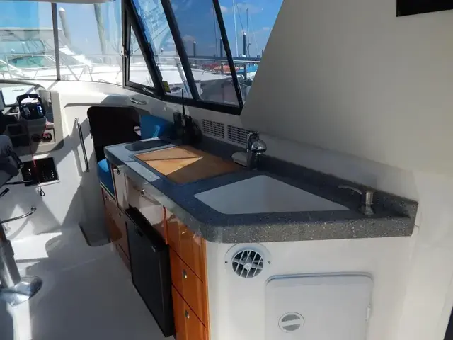 Arrowcat Coupe 320