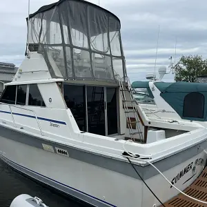 1986 Silverton Convertible