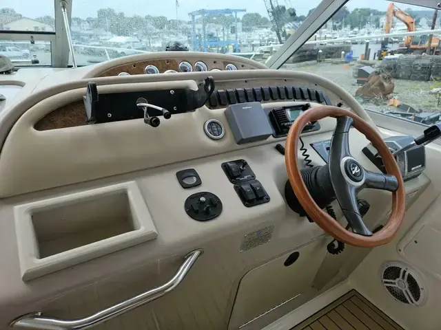 Sea Ray 31