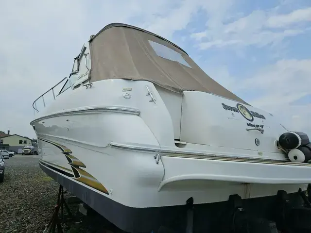 Sea Ray 31